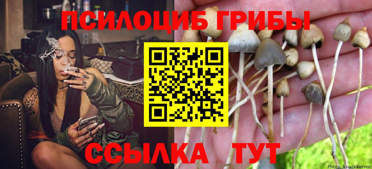 Псилоцибиновые грибы мухоморы Батайск