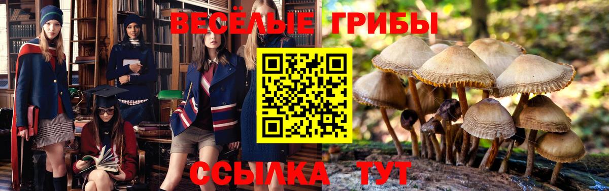 Галлюциногенные грибы мухоморы  магазин продажи   Батайск  Вход с VPN  Галлюциногенные грибы Cubensis 